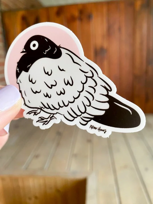 Stunned Pigeon Sticker