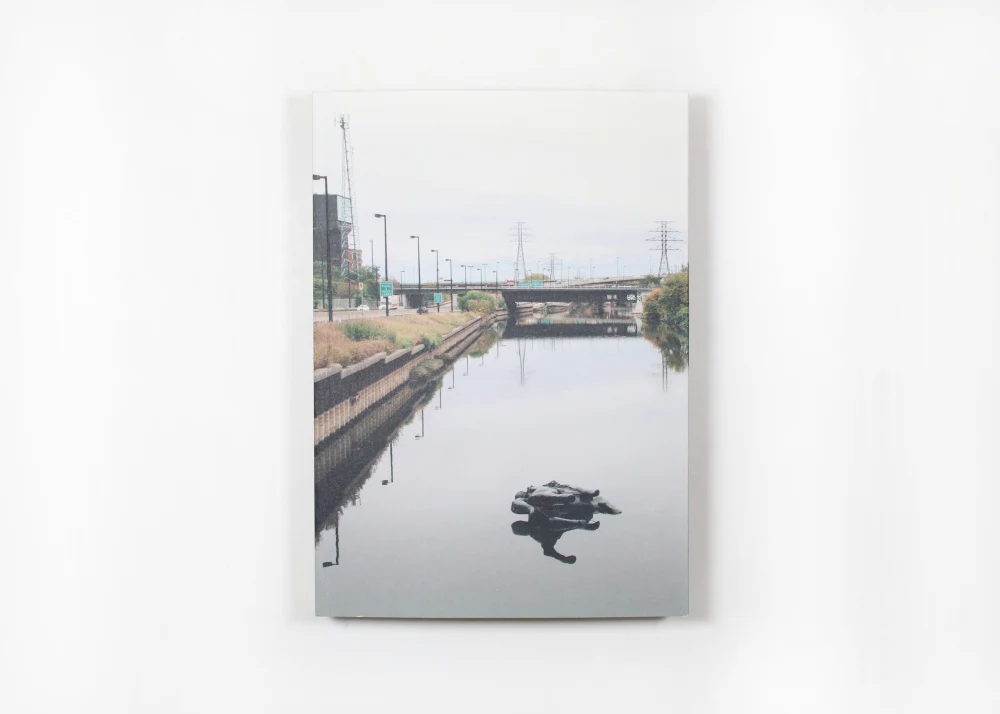 Temporary Acts: Public Art in Toronto's Don River Valley
