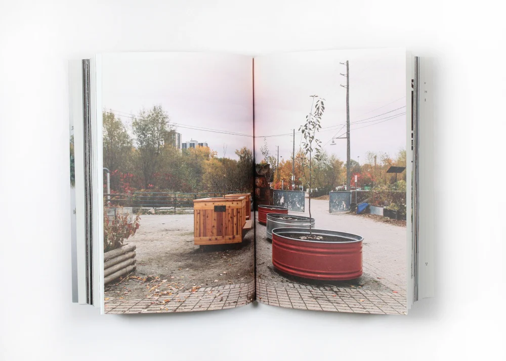 Temporary Acts: Public Art in Toronto's Don River Valley - Image 4